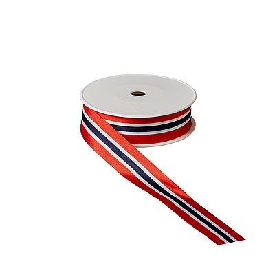 Vereinsband Norwegen